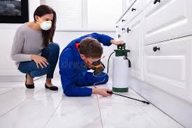 Best Pest Exclusion Services  in Mount Ephraim, NJ